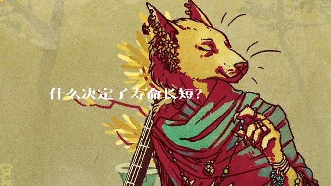 什么决定了寿命长短？