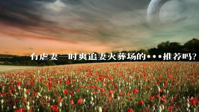 有虐妻一时爽追妻火葬场的***推荐吗？