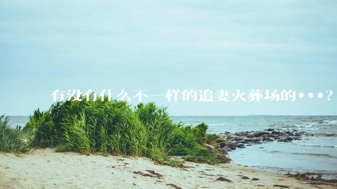 有没有什么不一样的追妻火葬场的***？