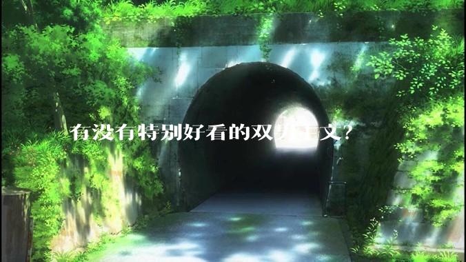 有没有特别好看的双男主文？