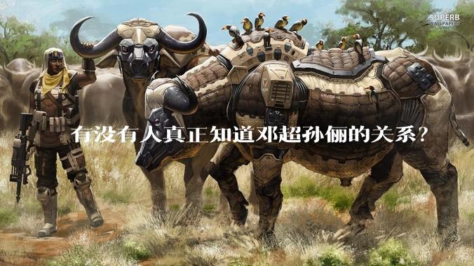有没有人真正知道邓超孙俪的关系？