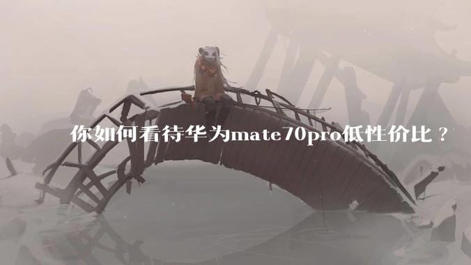 你如何看待华为mate70pro低性价比?