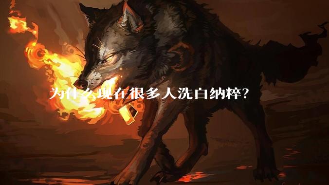 为什么现在很多人洗白纳粹？