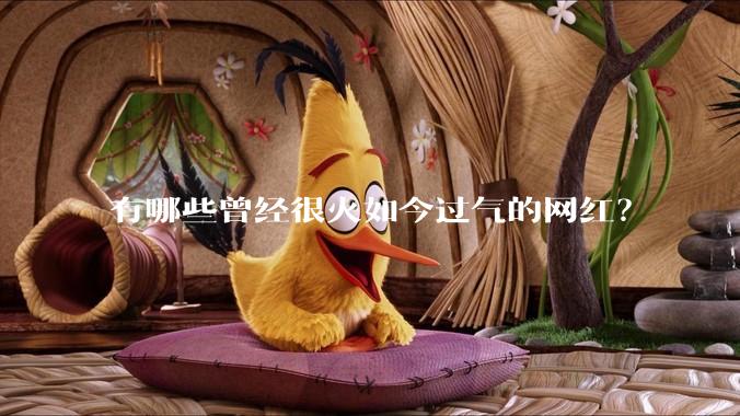 有哪些曾经很火如今过气的网红？