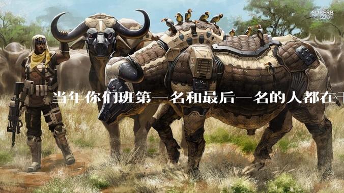 当年你们班第一名和最后一名的人都在干吗？