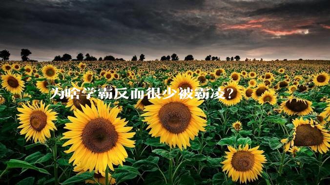 为啥学霸反而很少被霸凌？