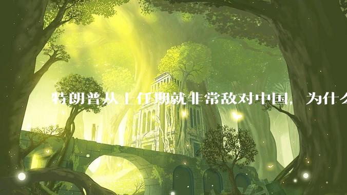 特朗普从上任期就非常敌对中国，为什么大选时中国国内很多人支持他当选，支持他的中国人是个什么群体？