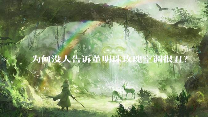 为何没人告诉董明珠玫瑰空调很丑？