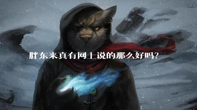 胖东来真有网上说的那么好吗？