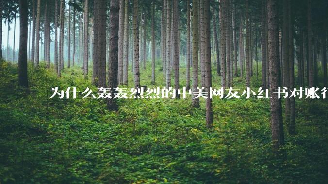 为什么轰轰烈烈的中美网友小红书对账行动戛然而止了？
