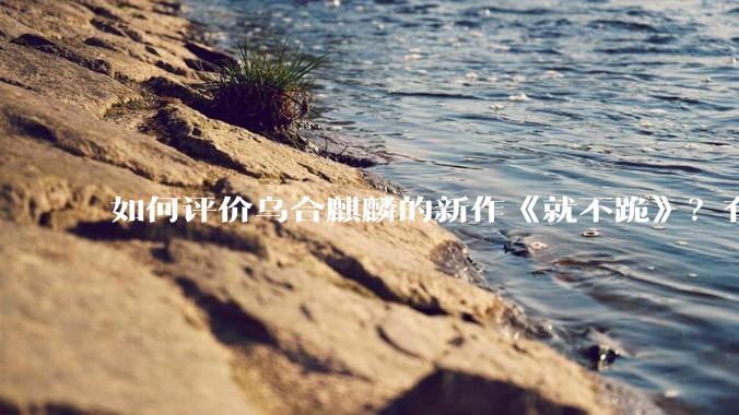 如何评价乌合麒麟的新作《就不跪》？有哪些细节？
