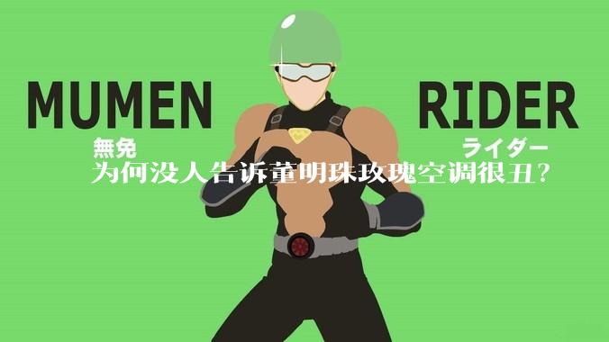 为何没人告诉董明珠玫瑰空调很丑？