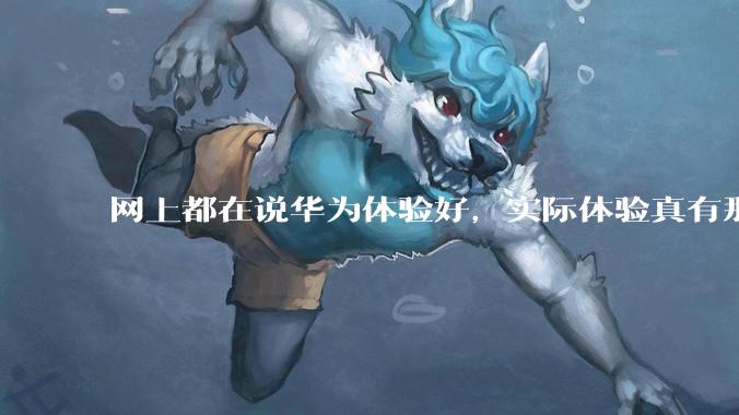网上都在说华为体验好，实际体验真有那么好吗？