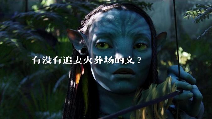 有没有追妻火葬场的文?