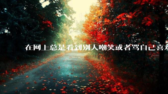 在网上总是看到别人嘲笑或者骂自己喜欢的东西很难受怎么办？