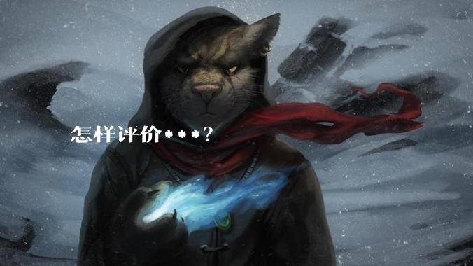怎样评价***？