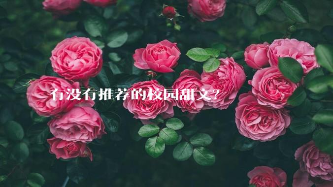 有没有推荐的校园甜文？